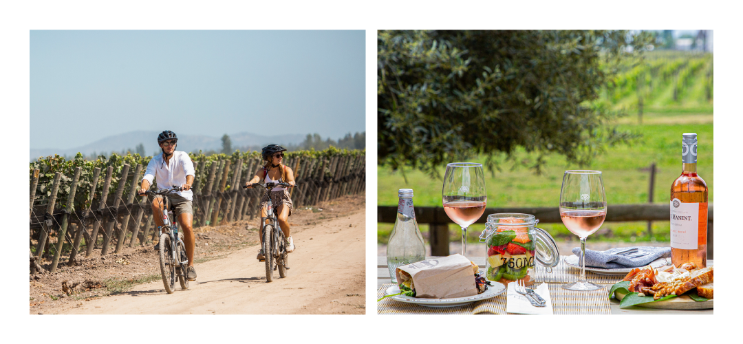 yurt dışı şarap tadım turları