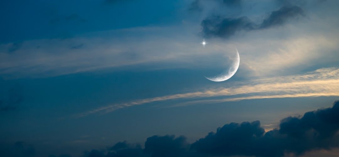 kasım aylık burç yorumları