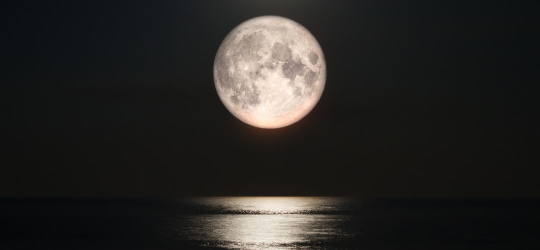 kasım aylık burç yorumları