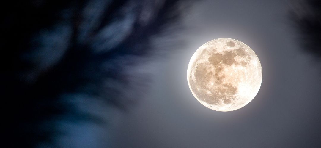 kasım aylık burç yorumları