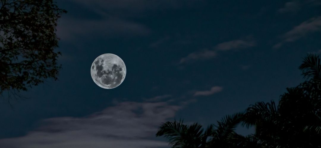 kasım aylık burç yorumları