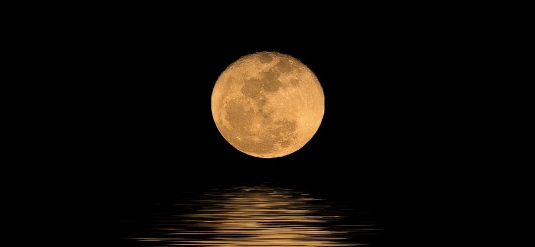 kasım aylık burç yorumları