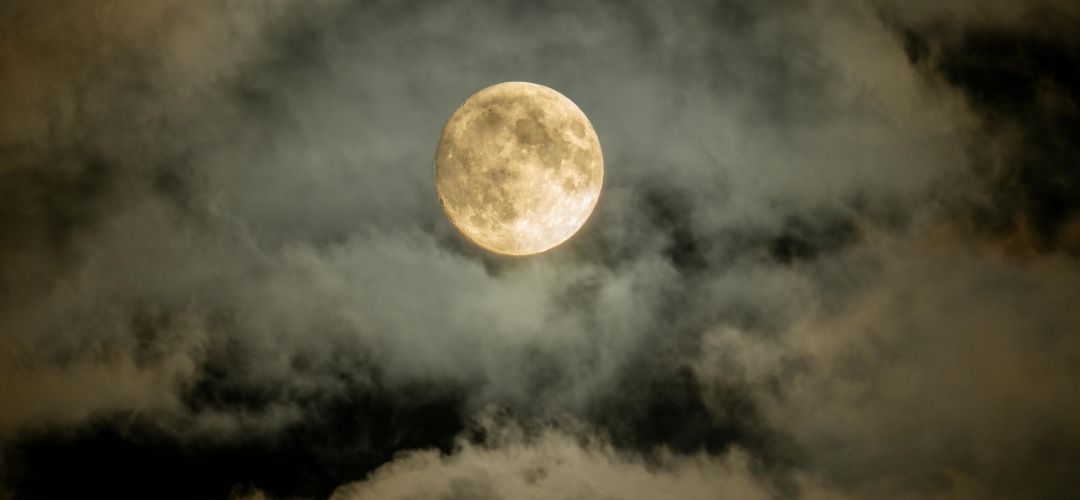 kasım aylık burç yorumları