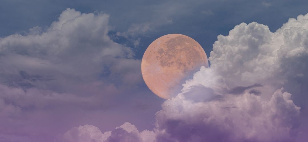 kasım aylık burç yorumları