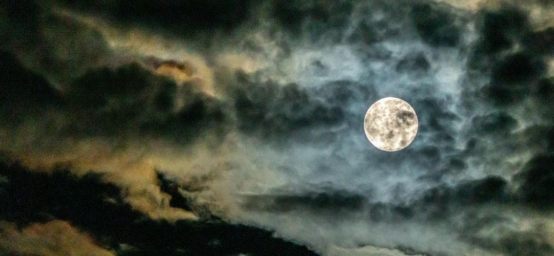 kasım aylık burç yorumları