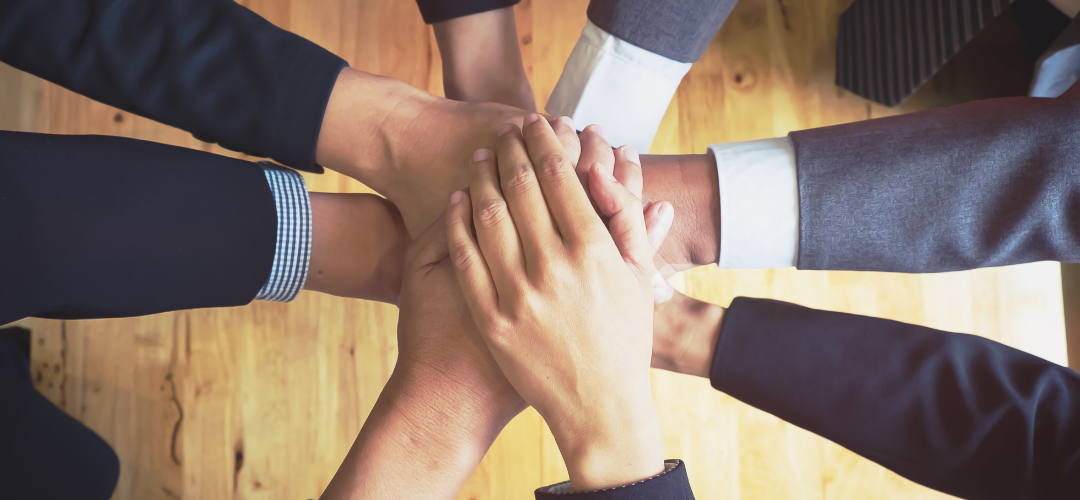 Steward Ownership vekil sahiplik