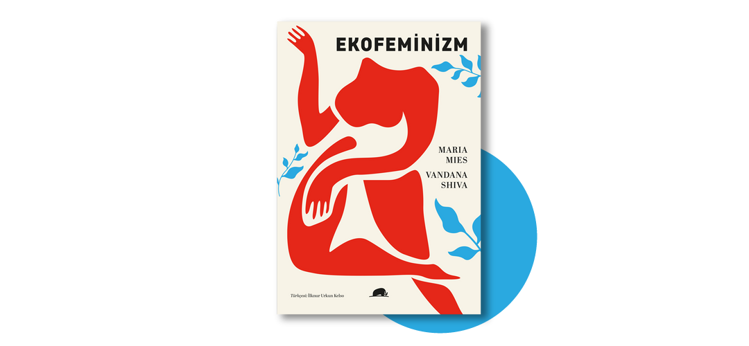 yeni çıkan kitaplar kasım 2025 ekofeminizm