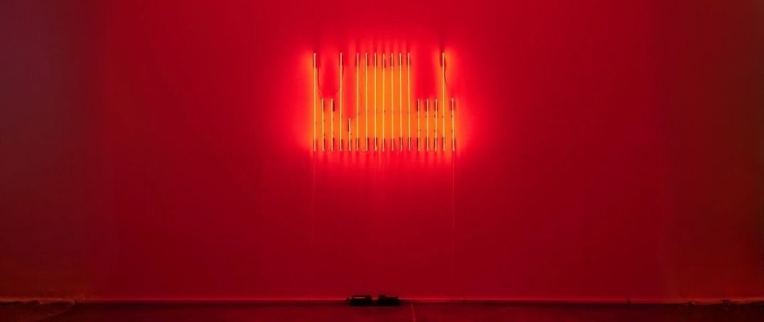 banu cennetoğlu ne karanfil ne kurbaga sergisi