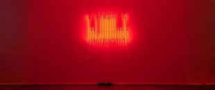 banu cennetoğlu ne karanfil ne kurbaga sergisi