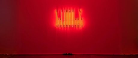 banu cennetoğlu ne karanfil ne kurbaga sergisi