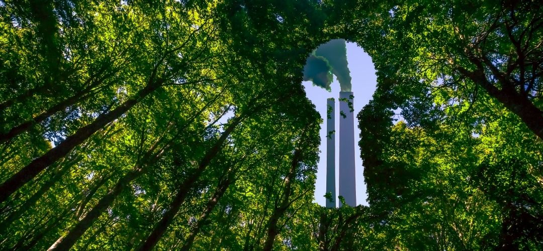 sürdürülebilir turizm