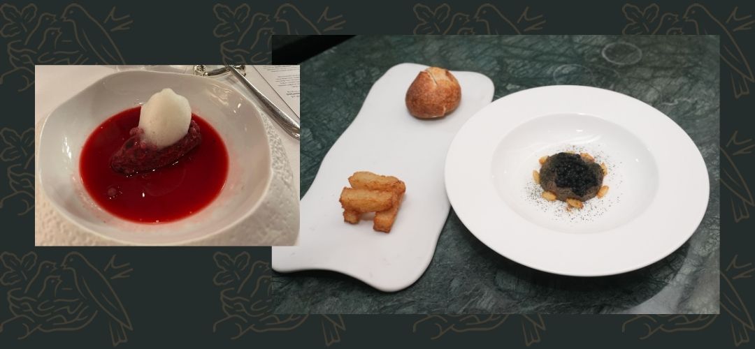 Nestlee Waters Water Dine buluşması Telezzüz