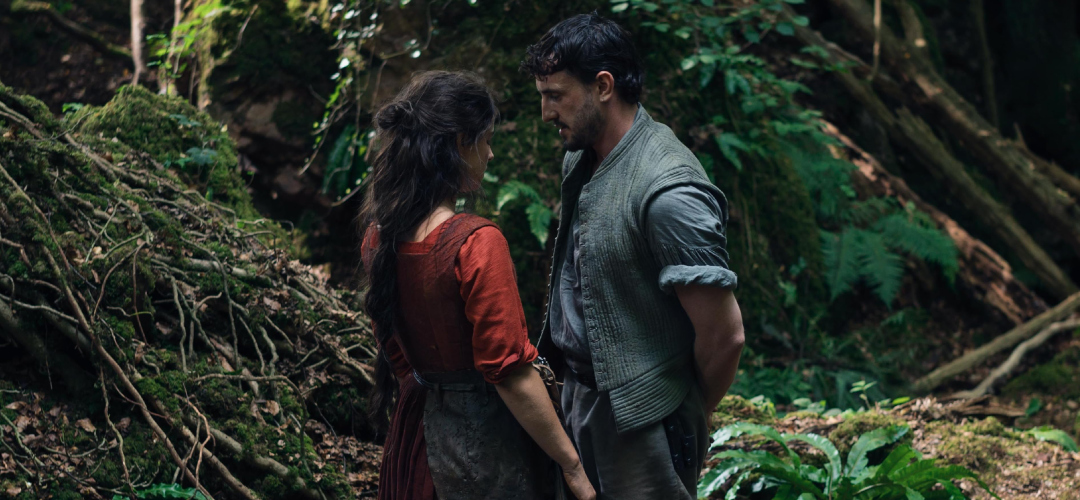 2026 oscar en iyi uyarlama senaryo