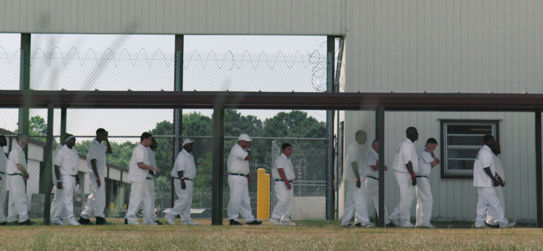 2026 oscar en iyi uzun metraj belgesel