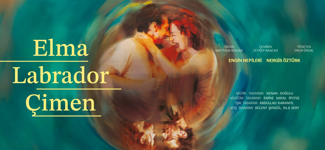 elma labrador çimen