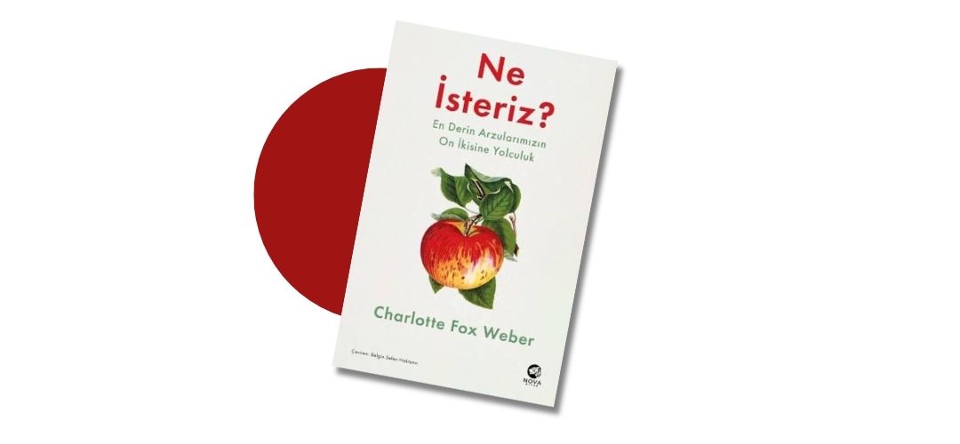 Ne İsteriz: En Derin Arzularımızın On İkisine Yolculuk - Charlotte Fox Weber