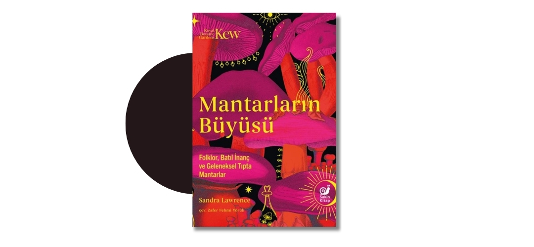 Mantarların Büyüsü: Folklor, Batıl İnanç ve Geleneksel Tıpta Mantarlar - Sandra Lawrence